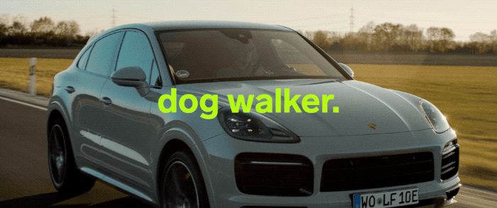 dog walker.